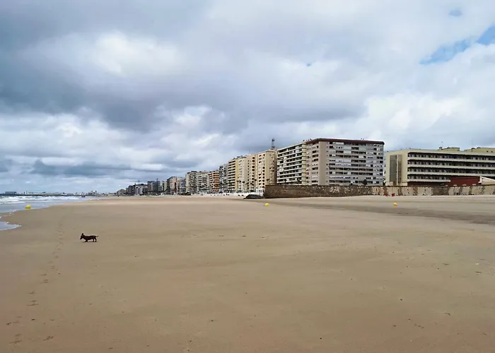 Romantica Vista Al Paseo Maritimo De Cádiz