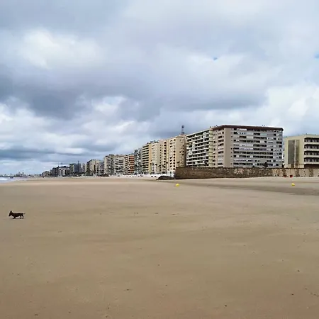 Romantica Vista Al Paseo Maritimo De Cadiz